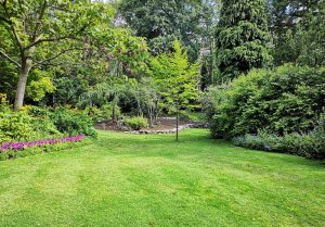 Optimiser l'expérience du jardin à Bourgon